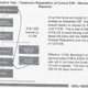 An internal Walmart document submitted in the whistleblower filing, gaming out the 2009 structure.